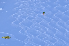 stubai freeride 2015 yabasta dsc_7573