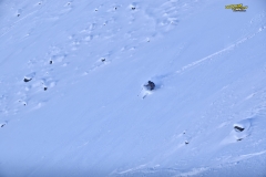 stubai freeride 2015 yabasta dsc_7577