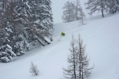 yabasta-freeride-fever-tauplitz_0223
