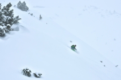 yabasta-freeride-fever-tauplitz_0256