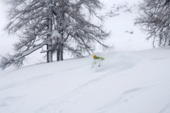 yabasta-freeride-fever-tauplitz_0334