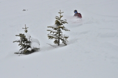 yabasta-freeride-fever-tauplitz_0548