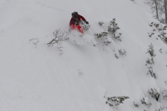 yabasta-freeride-fever-tauplitz_0576-1