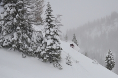 yabasta-freeride-fever-tauplitz_0595x