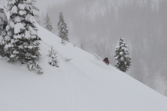 yabasta-freeride-fever-tauplitz_0601