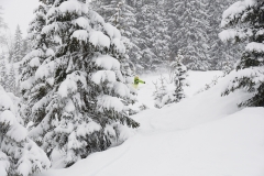 yabasta-freeride-fever-tauplitz-dsc_0433