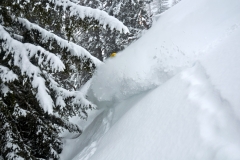 yabasta-freeride-fever-tauplitz-dsc_0535