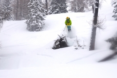 yabasta-freeride-fever-tauplitz-dsc_0613