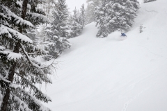 yabasta-freeride-fever-tauplitz-dsc_0763