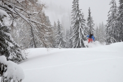 yabasta-freeride-fever-tauplitz-dsc_0790