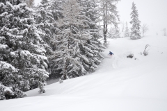 yabasta-freeride-fever-tauplitz-dsc_0890
