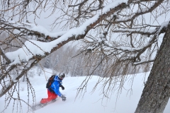 yabasta-freeride-fever-tauplitz-dsc_0941