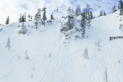 freeride-powder-tauplitz-yabasta-cz-dsc-5642