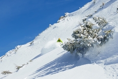 yabasta-powder-deviation-tauplitz-lawinenstein-dsc_1386