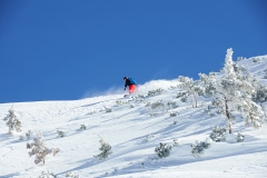 yabasta-powder-deviation-tauplitz-lawinenstein-dsc_1394