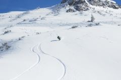 yabasta-powder-deviation-tauplitz-lawinenstein-dsc_1435
