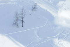 yabasta-powder-deviation-tauplitz-lawinenstein-dsc_1625