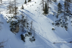 yabasta-powder-deviation-tauplitz-lawinenstein-dsc_1634