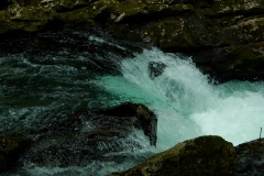 DSC_1565