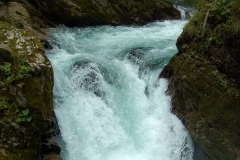 DSC_1574