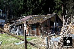 vyssak10
