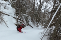 wurzeralm-freeride-2015-yabasta-cz-dsc_0101.jpg