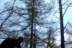 DSCN6978